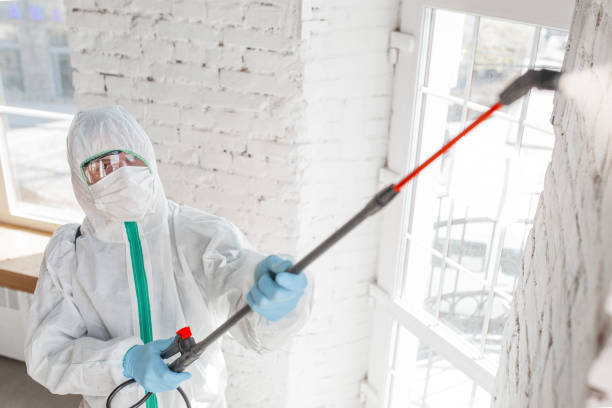 Best Environmental Consulting for Mold Prevention  in Bonner West Riverside, MT