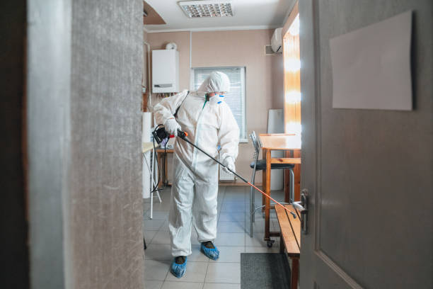 Best Comprehensive Air Testing for Mold Contaminants  in Bonner West Riverside, MT