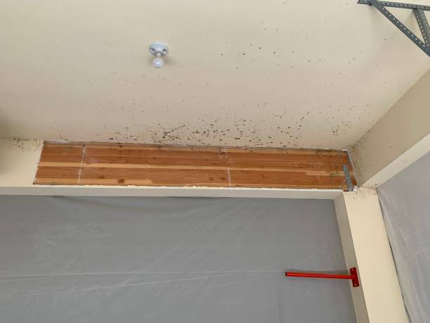Best Mold Remediation for Healthcare Facilities  in Bonner West Riverside, MT