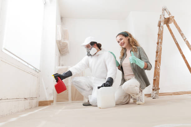 Best Real Estate Mold Inspection  in Bonner West Riverside, MT