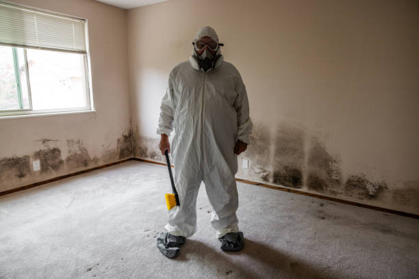 Best HVAC Mold Inspection and Cleaning  in Bonner West Riverside, MT